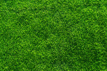 Fototapeta premium Artificial grass background