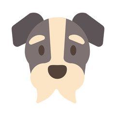 head of cute dog on white background