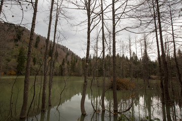 Karagöl Nature Park located in Borcka and Savsat districts of Artvin