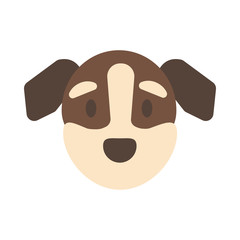 head of cute dog on white background