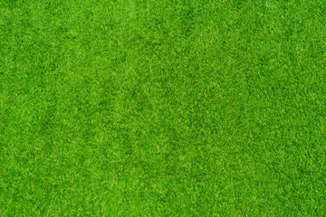 Plakat Full frame of Artificial grass
