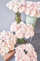 Lot of flowers Persian buttercup. Bunch pale pink ranunculus flowers on light gray background. Glass vase on vintage wooden table. Wallpaper
