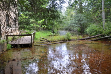 stagnant river water with wood deck and trees