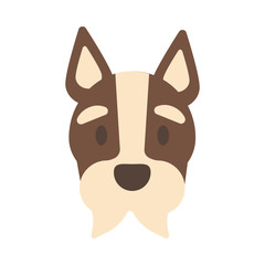 head of cute dog on white background