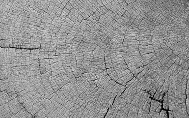 Abstract background. Wood floor for creating background images. Wood texture.