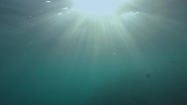 Sunbeams and fish in clear blue ocean underwater video