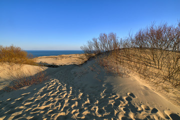 Fototapeta na wymiar Sunset view of nordic dunes, footprints and bushes at Baltic sea at Curonian spit, Nida, Klaipeda, Lithuania