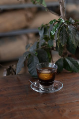 cold brew with glass saucer on wooden table and plant in a coffee shop
