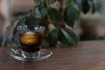 cold brew with glass saucer on wooden table and plant in a coffee shop