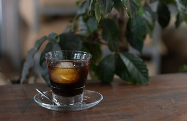 cold brew with glass saucer on wooden table and plant in a coffee shop