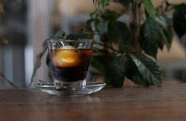 cold brew with glass saucer on wooden table and plant in a coffee shop