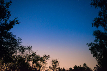 Sunset and night dark blue sky in forest with bright stars as space background