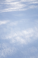 Fototapeta na wymiar Ground and shadow after snow