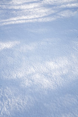 Ground and shadow after snow