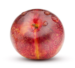 Red plum with water drop isolated on white background. Fresh plum clipping path.
