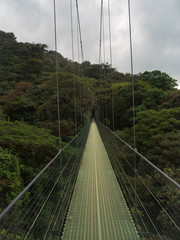 Hanging bridge in costa rica