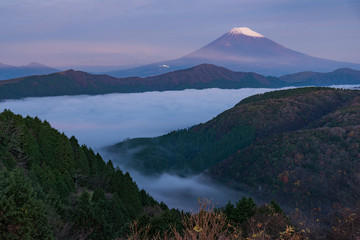大観山 雲海と富士山