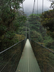 Hanging bridge in Monteverde