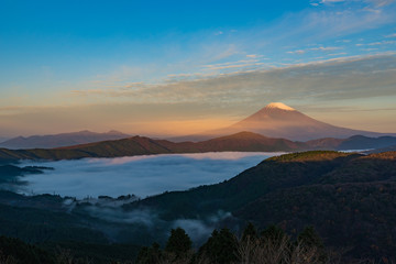 大観山 雲海と富士山