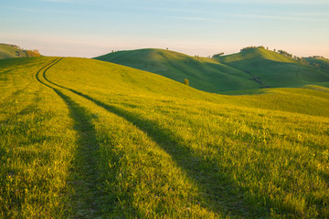 Mountain road, hills road, summer morning, countryside. Summer travel and vacation.