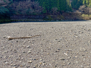 Driftwood on a river in Shikoku, Japan.