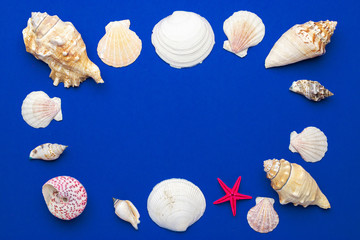 Sea Shells, starfish in shape frame. blue Hello summer background concept. Top view with copy space