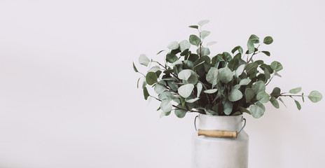 Eucalyptus bouquet in a metal vase, minimalism concept