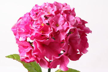Decoration artificial pink Hydrangea paniculata flower