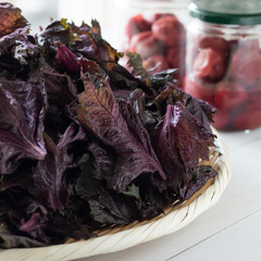 梅干し作り　赤じそ