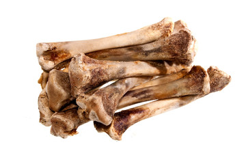 bone isolated on white background