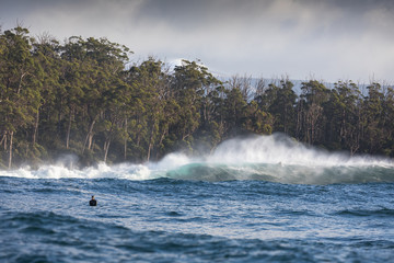 Surfer, Forest, Mountains