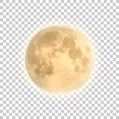 Foto op Canvas Full moon isolated with background, vector © estherpoon