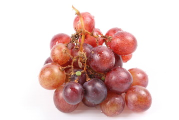 Red grape with water drops, closeup, isolated on white background