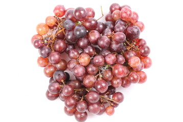Red grape with water drops, closeup, isolated on white background