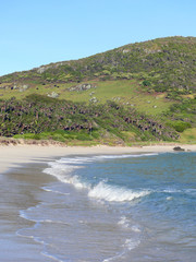 Fototapeta na wymiar A view of Neds Beach on Lord Howe Island in Australia