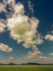 Tolle Landschaft am sommerlichen Plattensee in Ungarn