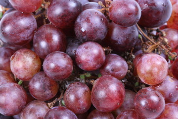 Red grape with water drops as background
