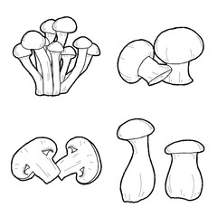 Mushrooms Vector Illustration Hand Drawn Vegetable Cartoon Art