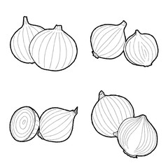 Onions Vector Illustration Hand Drawn Vegetable Cartoon Art