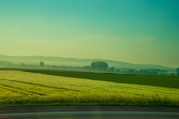 Germany, Frankfurt, Sunrise,, a close up of a lush green field