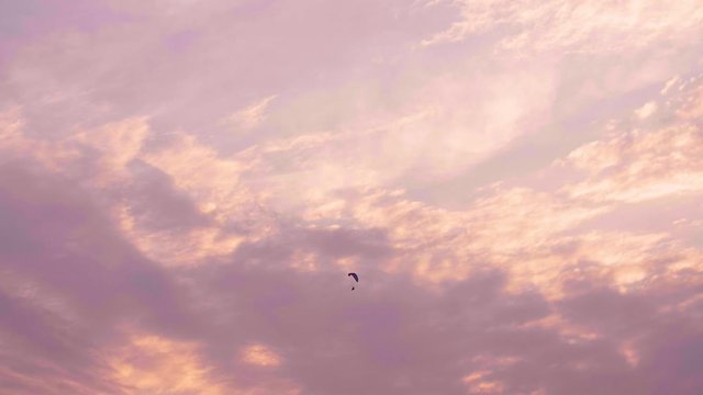 Silhouette Tiny Flying Paramotor among Sky Light Before Sunset 