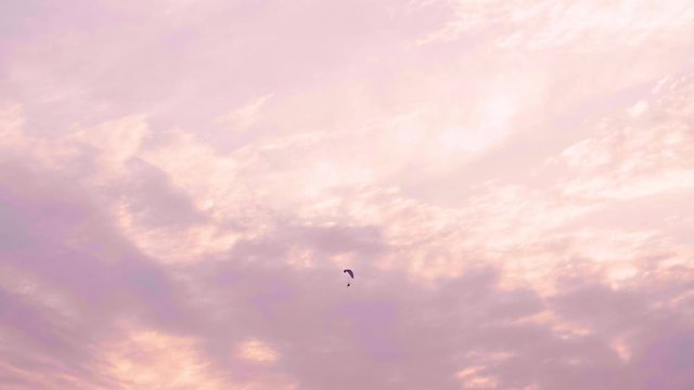 Tiny Flying Paramotor among Pink Color Sky Light Before Sunset 