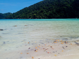 Beach and tropical sea, Surin Island, Phang-Nga Province, Thailand.