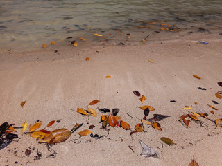 Obraz premium Beach and tropical sea, Surin Island, Phang-Nga Province, Thailand.
