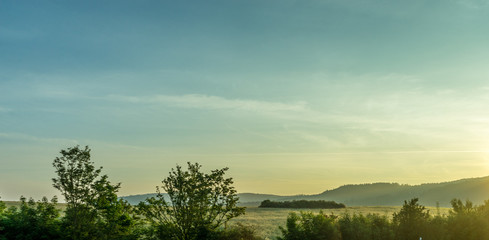 Fototapeta na wymiar Germany, Frankfurt, Sunrise, a large green field with trees in the background