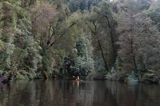 Kayak On Donaldson River