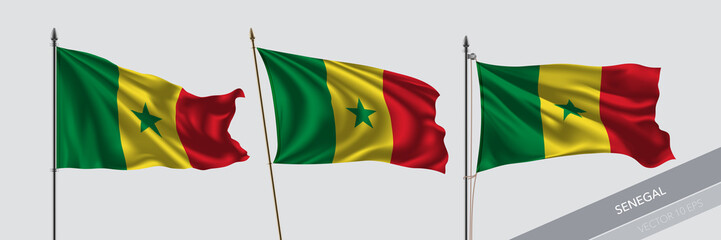 Set of Senegal waving flag on isolated background vector illustration
