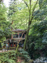 森の中の古い家