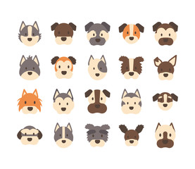 set of icons of faces different breeds of dogs