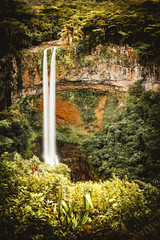 Chamarel waterfall in Mauritius is a twin waterfall since it falls about a hundred meters.  the gorge is completely green
